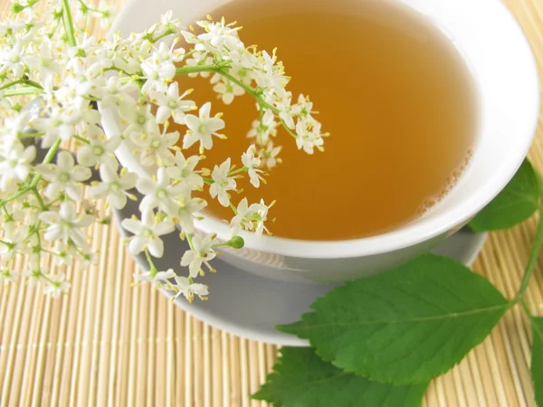 Té blanco con flor de saúco — Foto de Stock