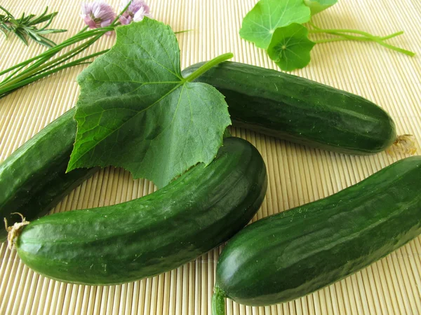 Mini cucumbers — Stock Photo, Image