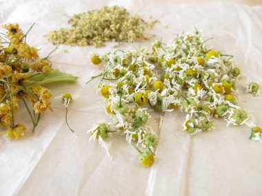 papatya çiçeği, beyaz kağıt üzerinde kurutma elderflower ve ıhlamur çiçek