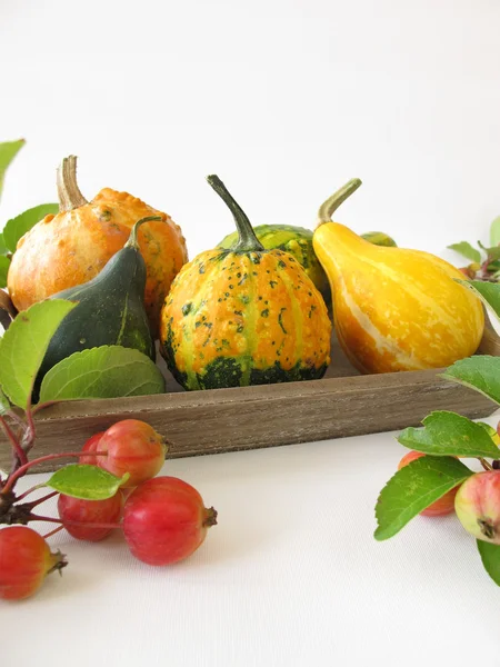 Decorazione autunnale con mele granchio e zucche ornamentali — Foto Stock