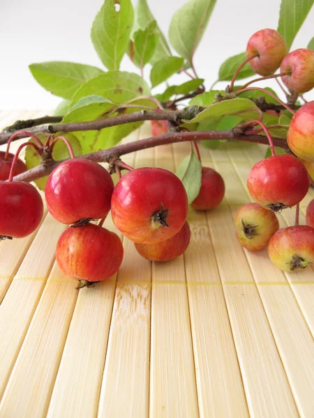 Autumnal decoration with crab apples — Stock Photo, Image