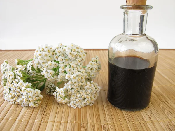 Växtbaserade tonic med yarrow — Stockfoto