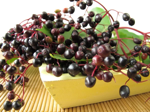 Elderberries ile natürmort — Stok fotoğraf
