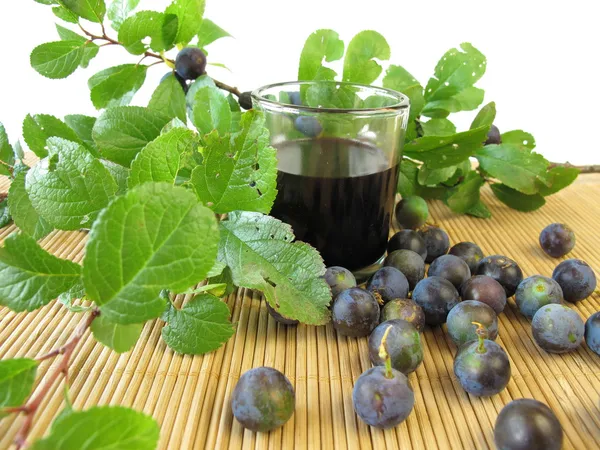 Sloe vruchten drank — Stockfoto