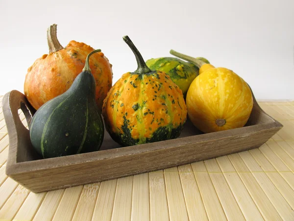 Autumnal decoration with ornamental gourds — Stock Photo, Image