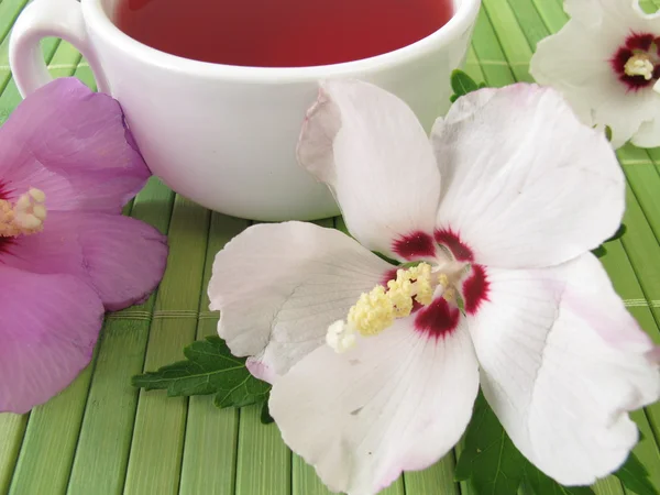 Thee met hibiscus bloemen — Stockfoto