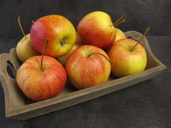 Kleine tenroy gala Koninklijke appels — Stockfoto