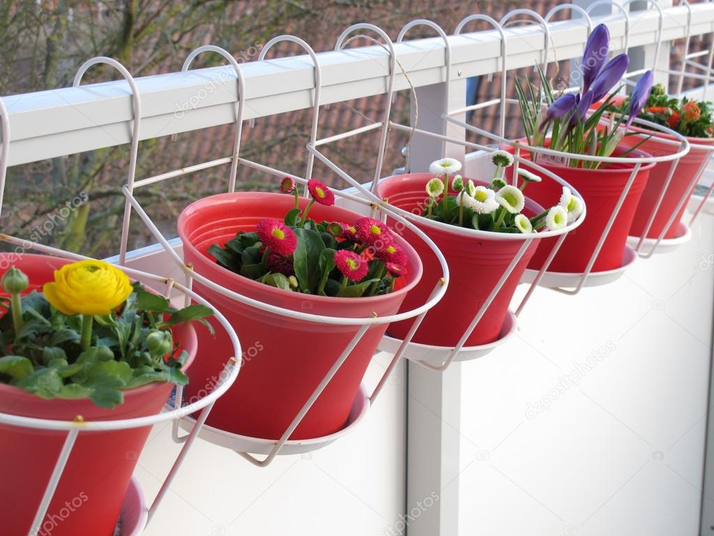 Spring flowers on the balcony