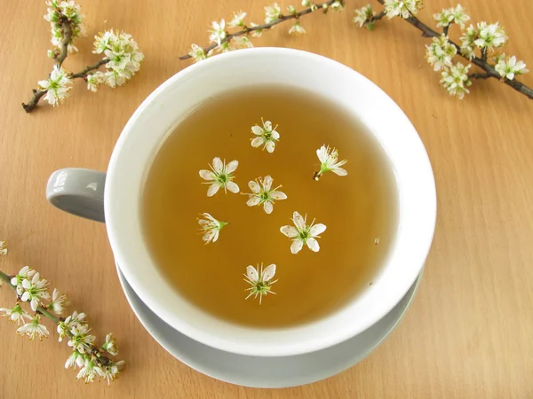 Tea with blackthorn flowers — Stock Photo, Image