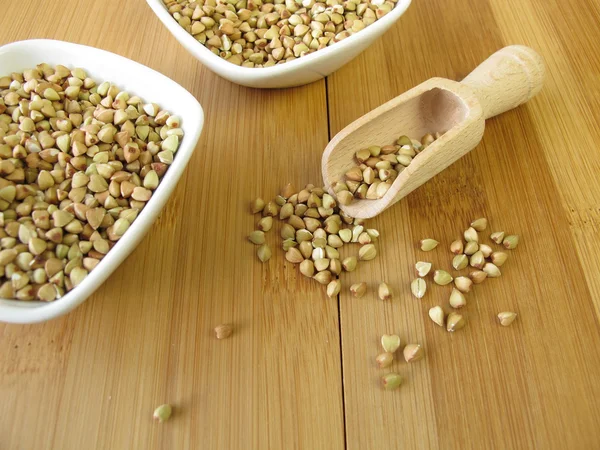 Buckwheat — Stock Photo, Image