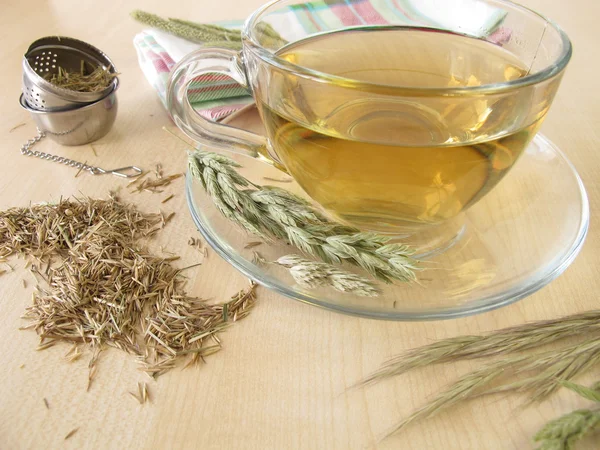 Hayflower tea — Stock Photo, Image