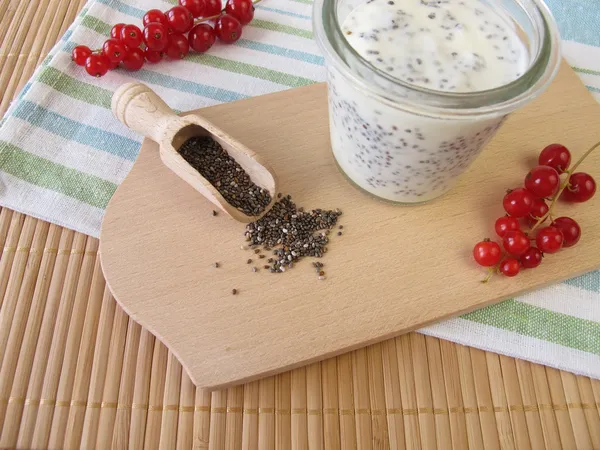 Budín de chía — Foto de Stock