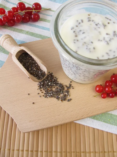 Budín de chía — Foto de Stock