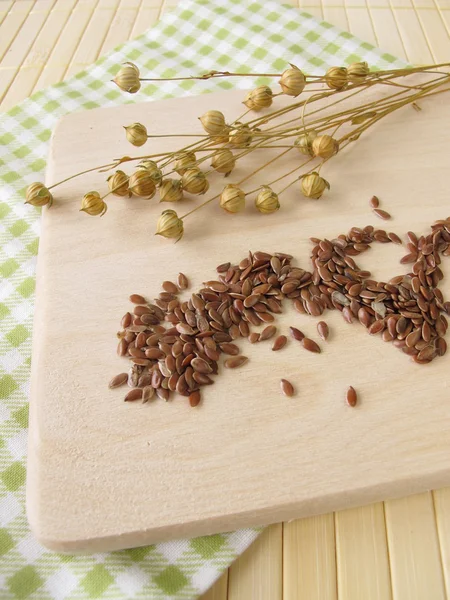 Linseeds and flax — Stock Photo, Image