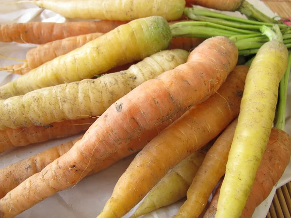 Möhren aus dem Garten — Stockfoto