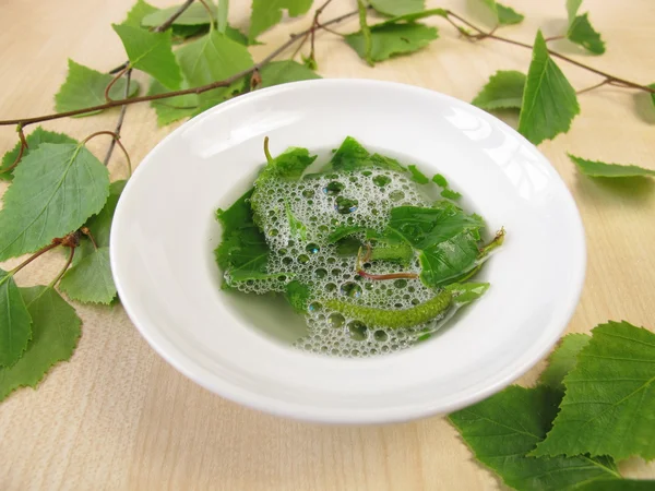 Saponines savonneuses dans les feuilles de bouleau — Photo