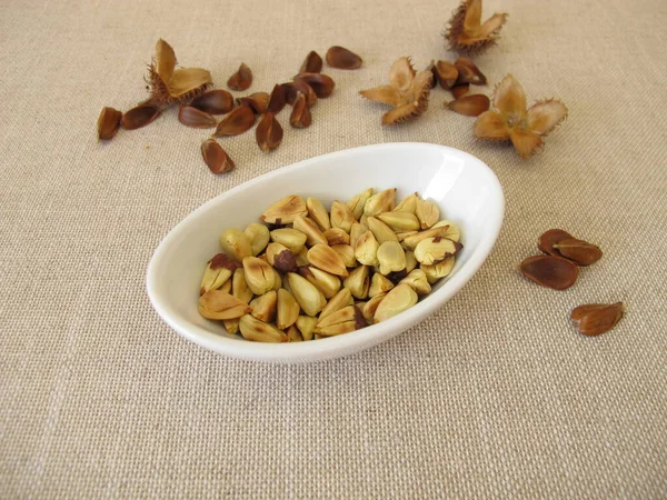 Small Bowl Freshly Roasted Beechnuts — Stock Photo, Image