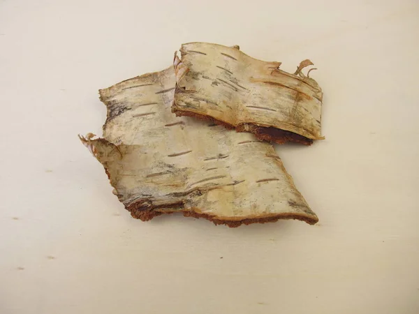 Φλοιός Σημύδας Κομμάτια Φλοιού Από Σημύδα — Φωτογραφία Αρχείου