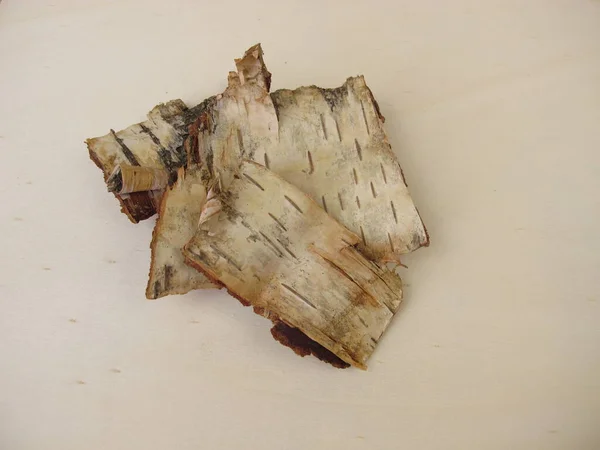 Φλοιός Σημύδας Κομμάτια Φλοιού Από Σημύδα — Φωτογραφία Αρχείου