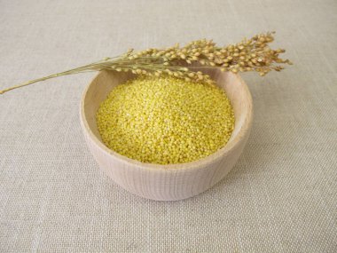 Tahta bir kasede küçük tohumlu darı