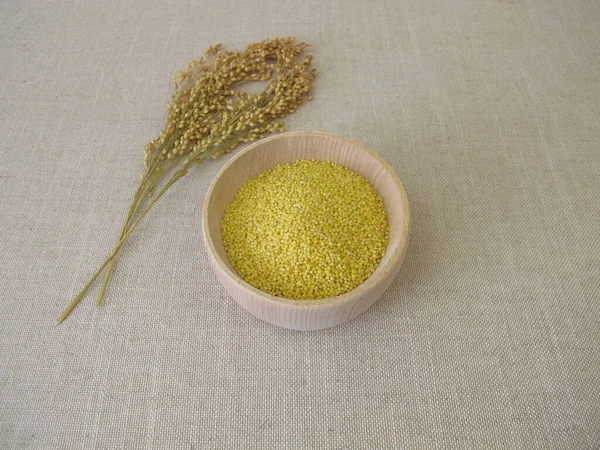 木の鉢の中の小種雑穀 — ストック写真