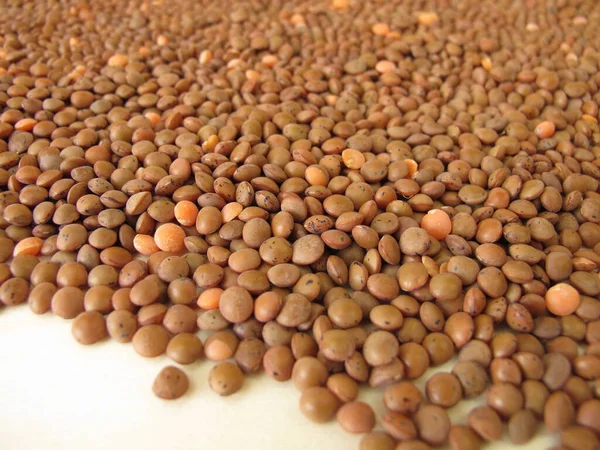 Brown Mountain Lentils Distributed Flatly Wooden Board — Stock Photo, Image