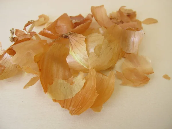 Zero Waste Onion Peel Tea Coloring Agent Plant Fertilizer — Stock Photo, Image