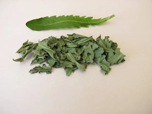 Zioła Mniszka Lekarskiego Suszone Liście Herbaty Ziołowej — Zdjęcie stockowe