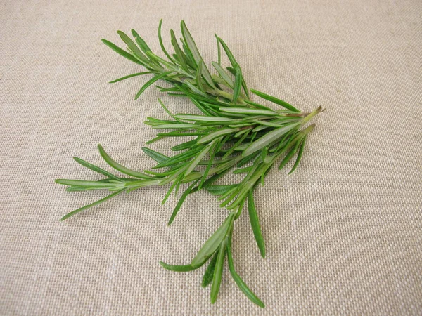 A small bouquet with rosemary herbs