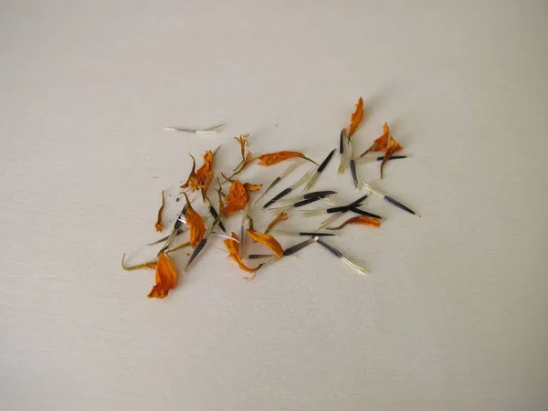 Tagetes Seeds Orange Flower Wooden Board — 스톡 사진