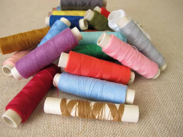 Sewing Thread Different Colors Farbric — Stockfoto