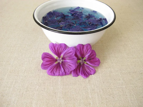 Blue Dye Bath Mallow Flowers Blue Plant Color — Foto Stock