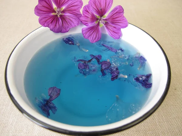 Blue Dye Bath Mallow Flowers Blue Plant Color — Stock Photo, Image