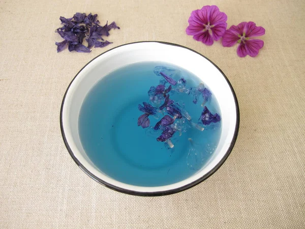 Blue Dye Bath Mallow Flowers Blue Plant Color — ストック写真