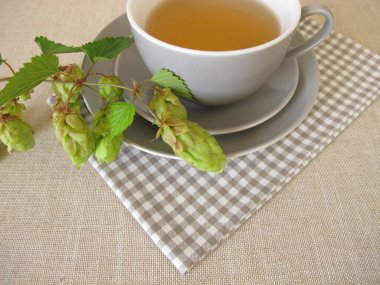 Hops tea, herbal tea with hop flowers