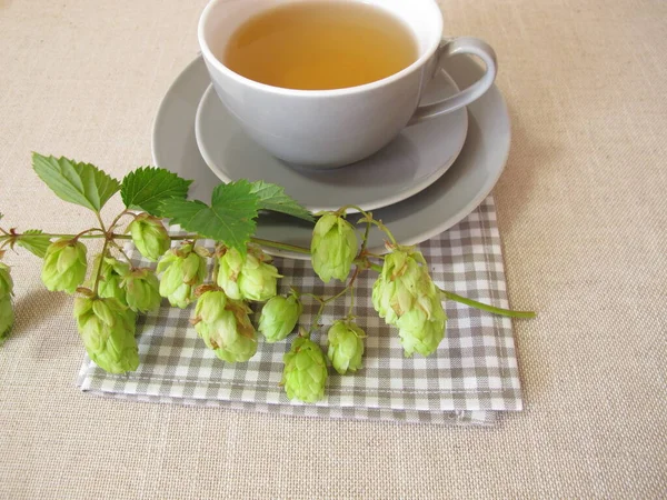 Hops Tea Herbal Tea Hop Flowers — Stock fotografie