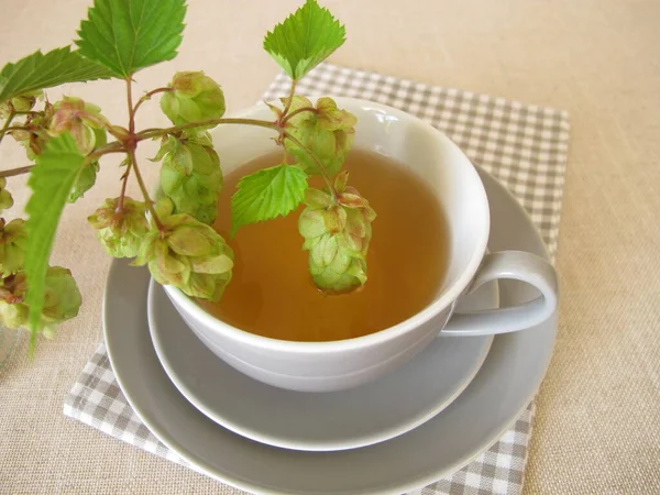 Hops Tea Herbal Tea Hop Flowers — Foto Stock