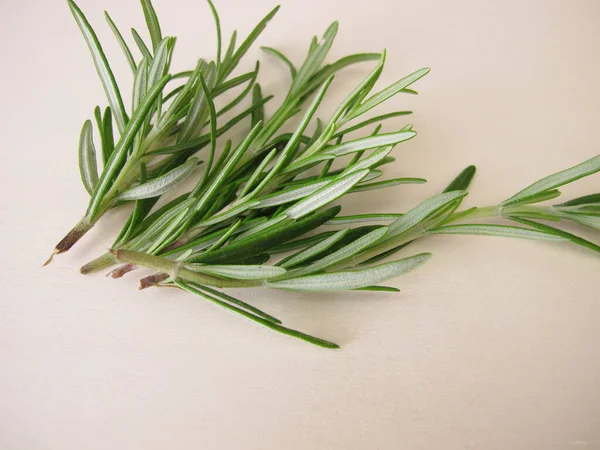 Small Bouquet Fresh Rosemary Wooden Board — Stock Photo, Image