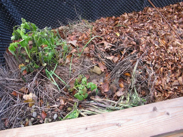 Raised Bed Filled Organic Material Garden — Zdjęcie stockowe