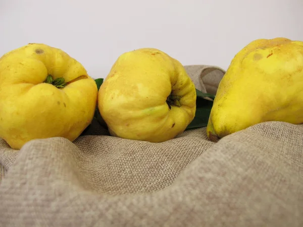 Reife Gelbe Birnenquitten Aus Dem Garten — Stockfoto