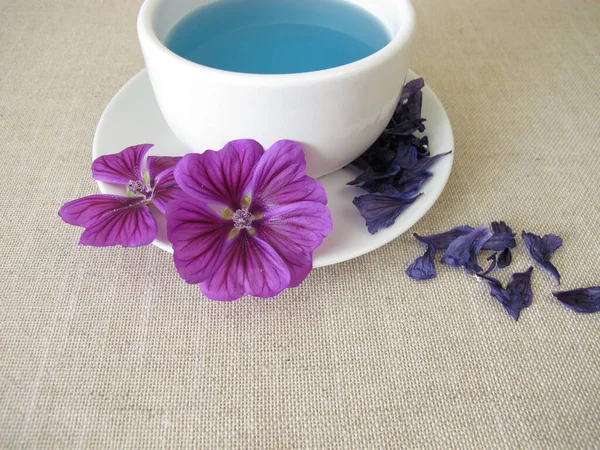 Chá Malva Azul Chá Flores Malva Secas — Fotografia de Stock