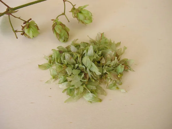 Dried Hop Flowers Wooden Board — Stock Photo, Image