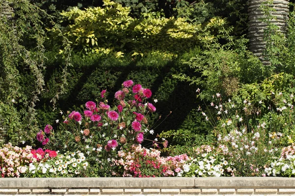 Blommor trädgård — Stockfoto