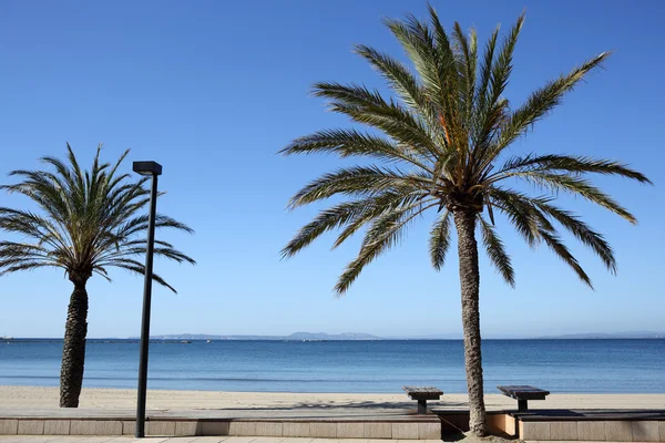 Spiaggia delle rose — Foto Stock