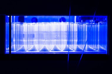 laboratuvar test tüpleri