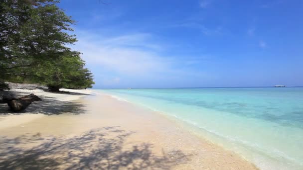 Playa tropical — Vídeo de stock