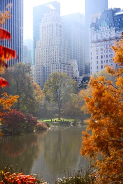 central Park'ta sonbahar
