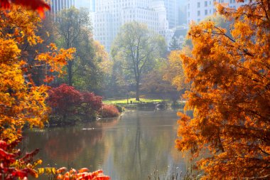 central Park'ta sonbahar