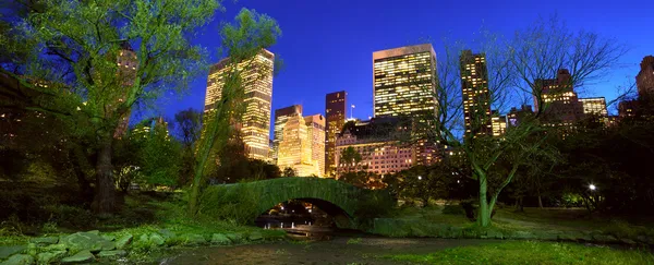 NYC central park på natten — Stockfoto