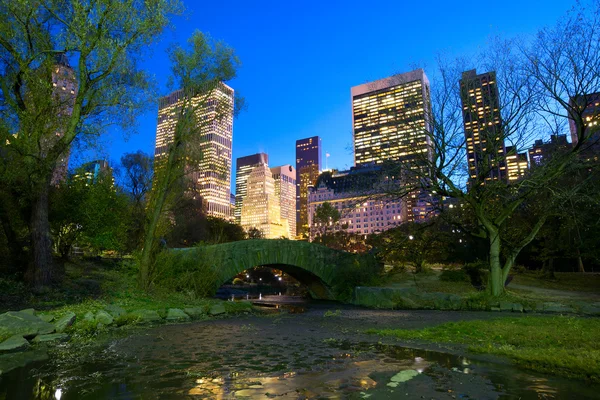 NYC Central Park à noite — Fotografia de Stock